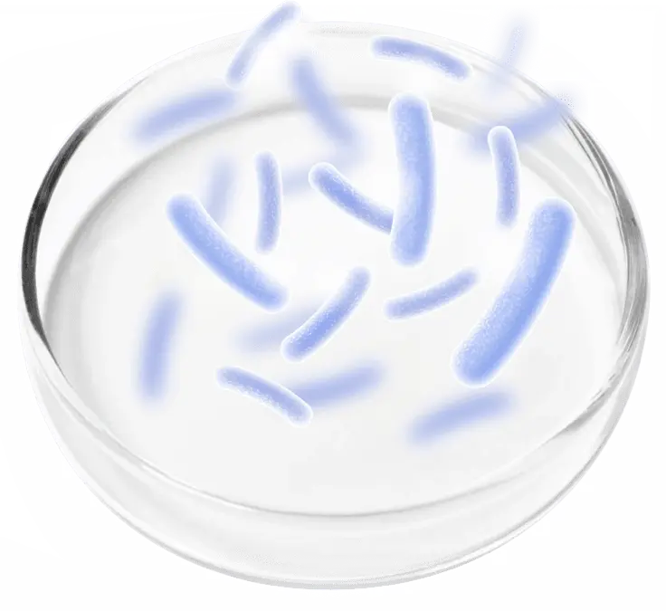 Probiotic Blend