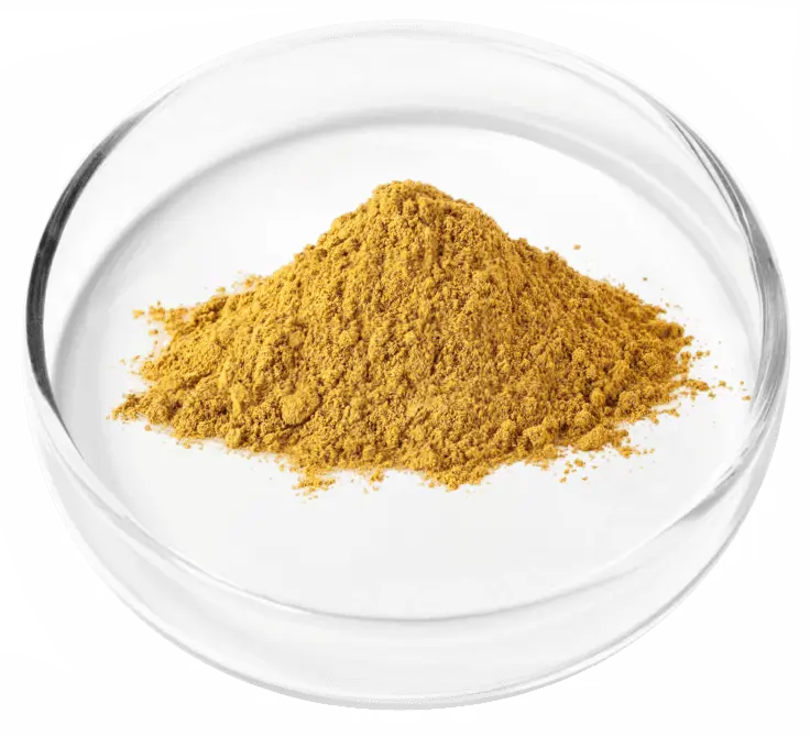 Granular Berberine